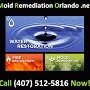  Profile Photos of Mold Remediation Orlando 37 N. Orange Ave., suite 1201 - Photo 3 of 3