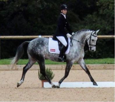  New Album of Hannah Humphries Vet Physio 13 Crooked Billet - Photo 2 of 3