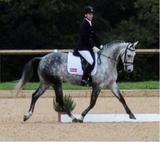 Hannah Humphries Vet Physio, Wimbledon