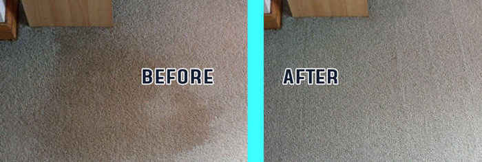  New Album of Carpet Cleaning Dandenong 175 lonsdale street - Photo 6 of 8