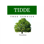 Tidde Tree Service Tuscaloosa, Tuscaloosa