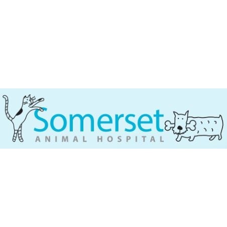  Profile Photos of Somerset Animal Hospital 8823 Roe Ave - Photo 1 of 2