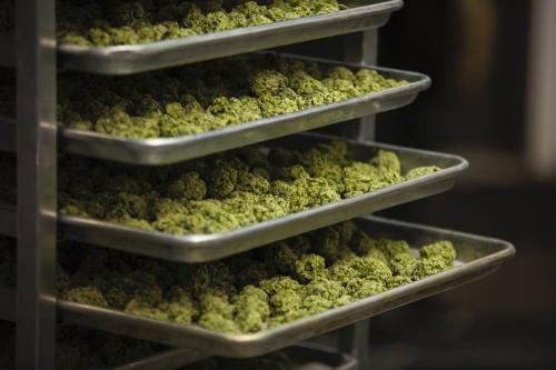  Profile Photos of Tasty Buds 55 Water st, Suite 515 - Photo 3 of 3