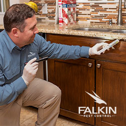  New Album of Falkin Pest Control 255 Equinox Circle - Photo 1 of 3