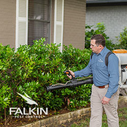  New Album of Falkin Pest Control 255 Equinox Circle - Photo 2 of 3