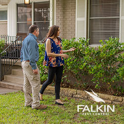 New Album of Falkin Pest Control 255 Equinox Circle - Photo 3 of 3