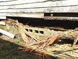 Advanced Termite + Pest Control, Charleston