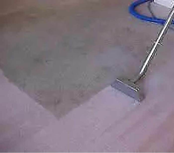  New Album of Carpet Cleaning Sunshine Coast 83 Maroochy Waters Dr - Photo 8 of 10