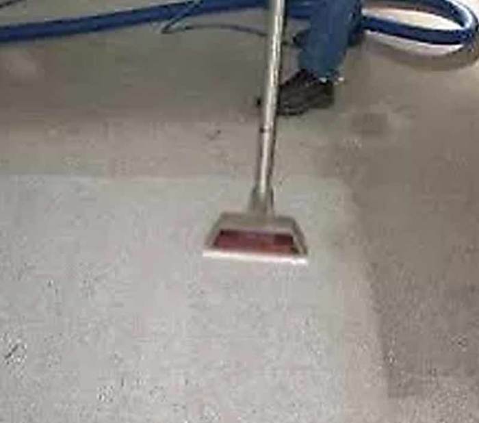  New Album of Carpet Cleaning Sunshine Coast 83 Maroochy Waters Dr - Photo 9 of 10