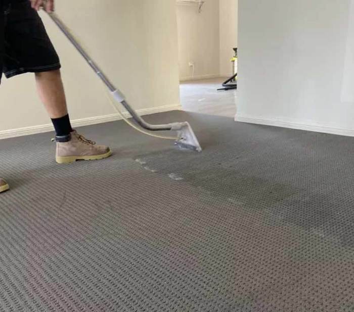  New Album of Carpet Cleaning Sunshine Coast 83 Maroochy Waters Dr - Photo 6 of 10