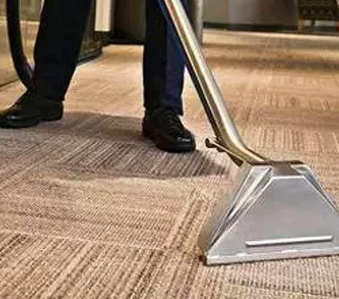  New Album of Carpet Cleaning Sunshine Coast 83 Maroochy Waters Dr - Photo 4 of 10