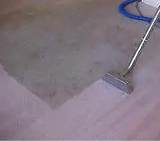  Carpet Cleaning Sunshine Coast 83 Maroochy Waters Dr 