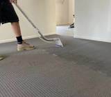  Carpet Cleaning Sunshine Coast 83 Maroochy Waters Dr 
