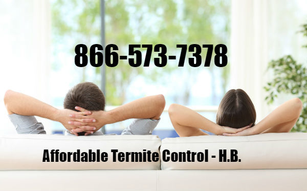  Profile Photos of Affordable Termite Control 18694 Applewood Circle - Photo 2 of 4