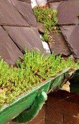 Wigan Gutter Cleaning | Gutter Cleaner Wigan, Golborne, Lowton, Newton, Golborne