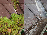 Wigan Gutter Cleaning | Gutter Cleaner Wigan, Golborne, Lowton, Newton, Golborne