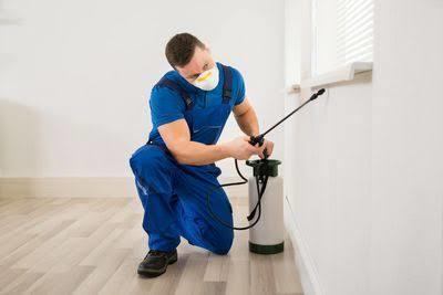  Profile Photos of Pest Control Sunshine Coast Back 2 New Carpet Cleaning - Photo 1 of 1