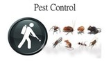  Pest Control Sunshine Coast Back 2 New Carpet Cleaning 