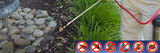  Pest Control Sunshine Coast Back 2 New Carpet Cleaning 