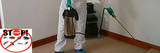  Pest Control Sunshine Coast Back 2 New Carpet Cleaning 