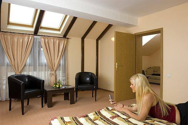  Profile Photos of Pensiune Ambient 3* - elegant B&B 62 Iuliu Maniu Boulevard - Photo 15 of 20