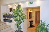Pensiune Ambient 3* - elegant B&B, Brasov