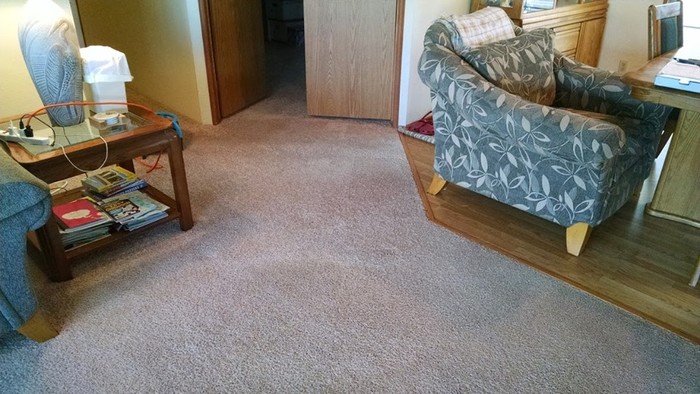  New Album of Carpet MD 1632 22nd Ave - Photo 2 of 7