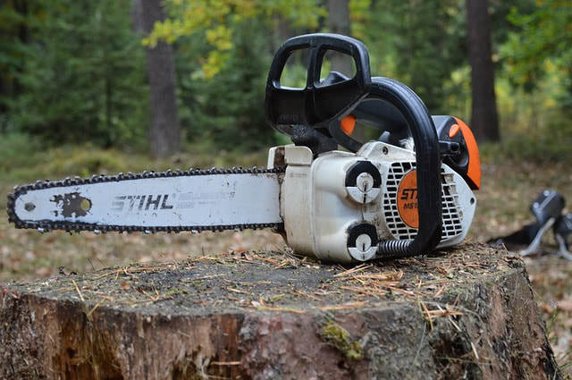  New Album of Webster Groves Tree Service 7217 Watson Rd UNIT 190008 - Photo 4 of 7
