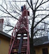  Webster Groves Tree Service 7217 Watson Rd UNIT 190008 