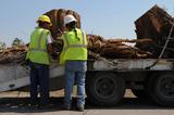  Webster Groves Tree Service 7217 Watson Rd UNIT 190008 