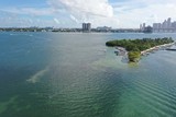 Discount Jet Ski Rental Miami, Miami Beach