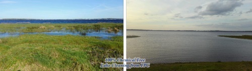  Profile Photos of Florida Pond Cleaning 4949 N Orange Blossom Trail - Photo 2 of 4