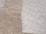 Ricks Green Carpet Cleaning, Van Nuys