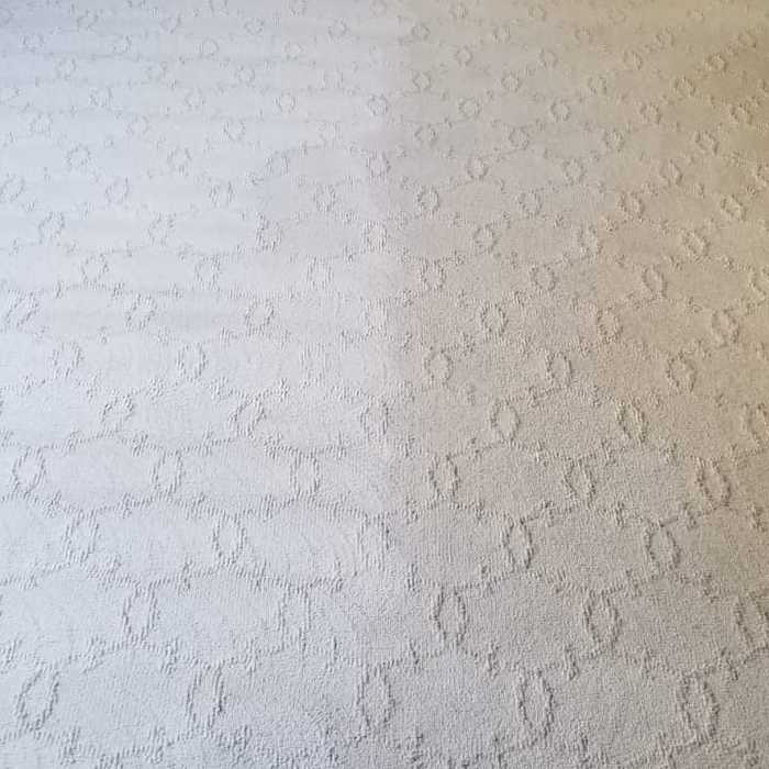  Profile Photos of Carpet Pro Cleaners Nashville 2115 Sun King Ct. - Photo 2 of 10