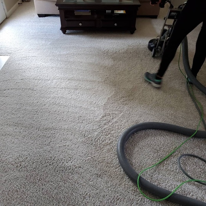  Profile Photos of Carpet Pro Cleaners Nashville 2115 Sun King Ct. - Photo 3 of 10