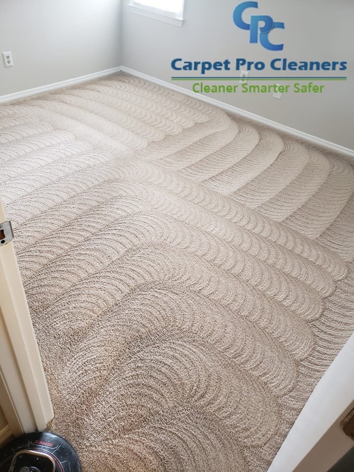  Profile Photos of Carpet Pro Cleaners Nashville 2115 Sun King Ct. - Photo 8 of 10