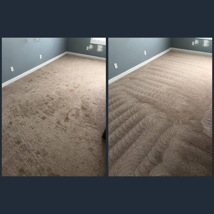  Profile Photos of Carpet Pro Cleaners Nashville 2115 Sun King Ct. - Photo 9 of 10