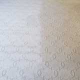  Carpet Pro Cleaners Nashville 2115 Sun King Ct. 