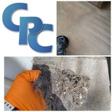  Carpet Pro Cleaners Nashville 2115 Sun King Ct. 