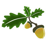 Border Biomass Fuels Ltd, Berwick upon Tweed