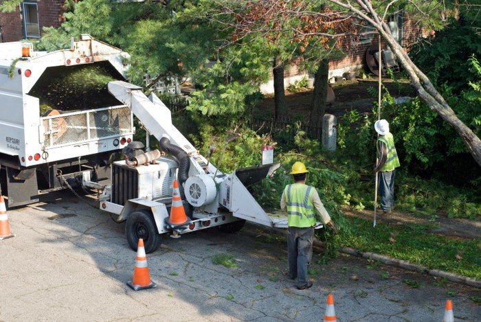 Tree Trimmers Profile Photos of Long Island Tree Service 4250 Veterans Memorial Hwy STE 104E - Photo 1 of 1