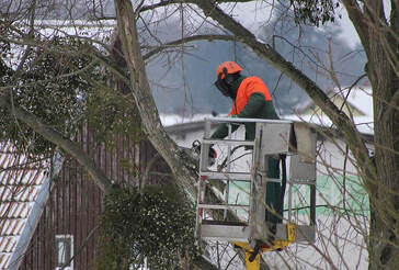  New Album of St. Charles Tree Service 1890 1st Capitol Dr UNIT 921 - Photo 2 of 6