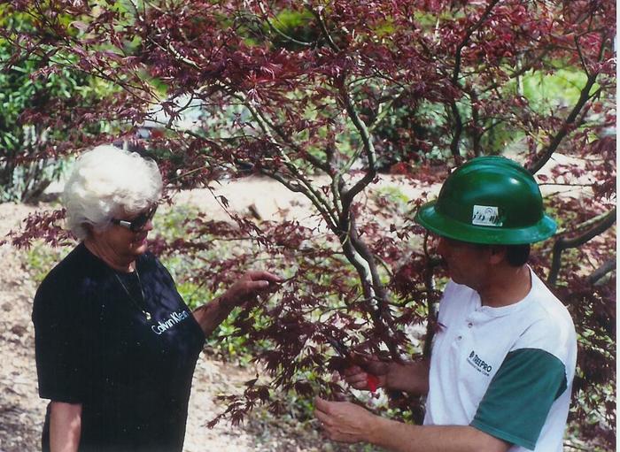  New Album of St. Charles Tree Service 1890 1st Capitol Dr UNIT 921 - Photo 6 of 6