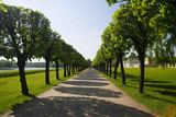 Bubbys Tree and Lawn Care, Radiant