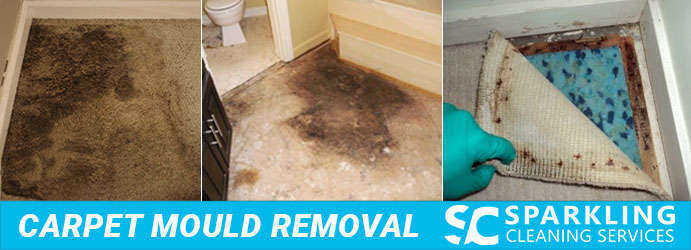  New Album of Best Carpet Cleaning Mosman 6 Coronation Avenue - Photo 2 of 6
