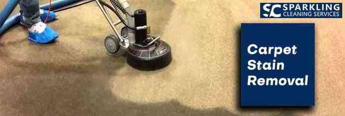  New Album of Best Carpet Cleaning Mosman 6 Coronation Avenue - Photo 4 of 6