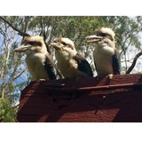  Baffle Creek Holiday House 156 Coast Rd 