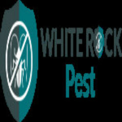  Profile Photos of Rat Removal In white Rock 121 Street Road,BC - Photo 1 of 1