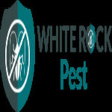 Rat Removal In white Rock, white Rock