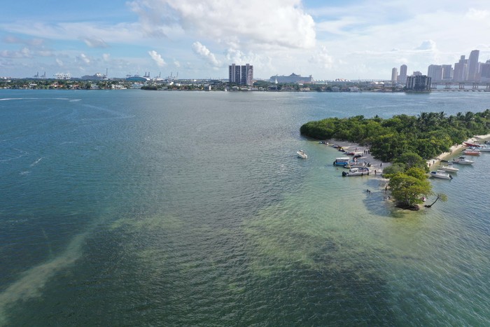  New Album of Jet Ski Rental In South Beach 900 West Avenue - Photo 1 of 4